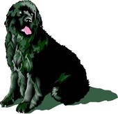 170x164 Clipart Of Newfoundland 16p0071