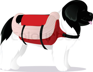 320x248 Color Sketch Of The Dog Newfoundland Hound Breed Sitting Stock