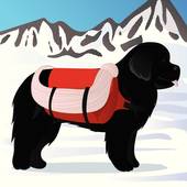170x170 Newfoundland Dog Clip Art