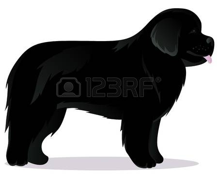 450x360 Newfoundland Dog Clipart