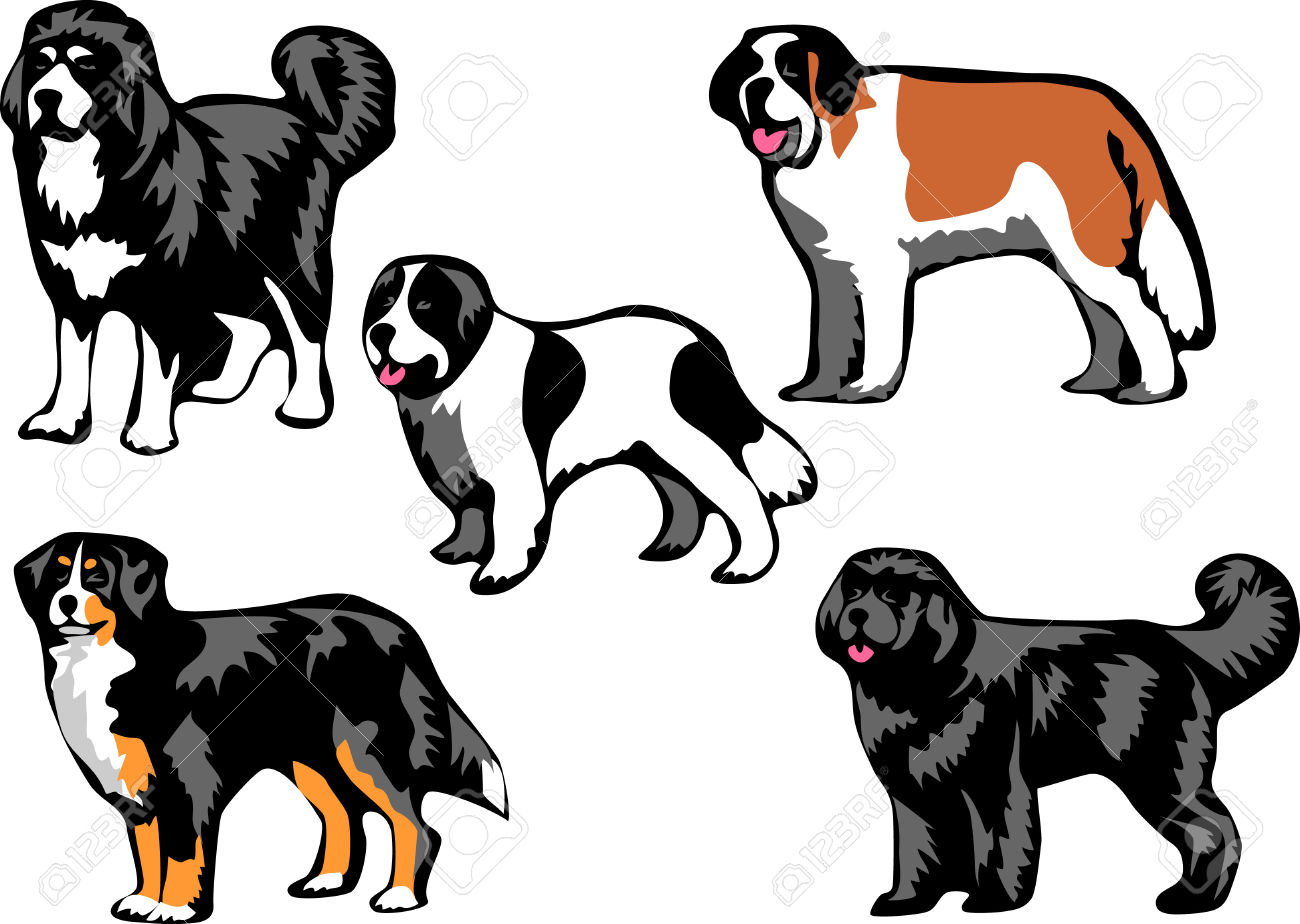 1300x924 Newfoundland Dog Clipart