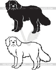 240x300 And Silhouette Of Newfoundland Dog