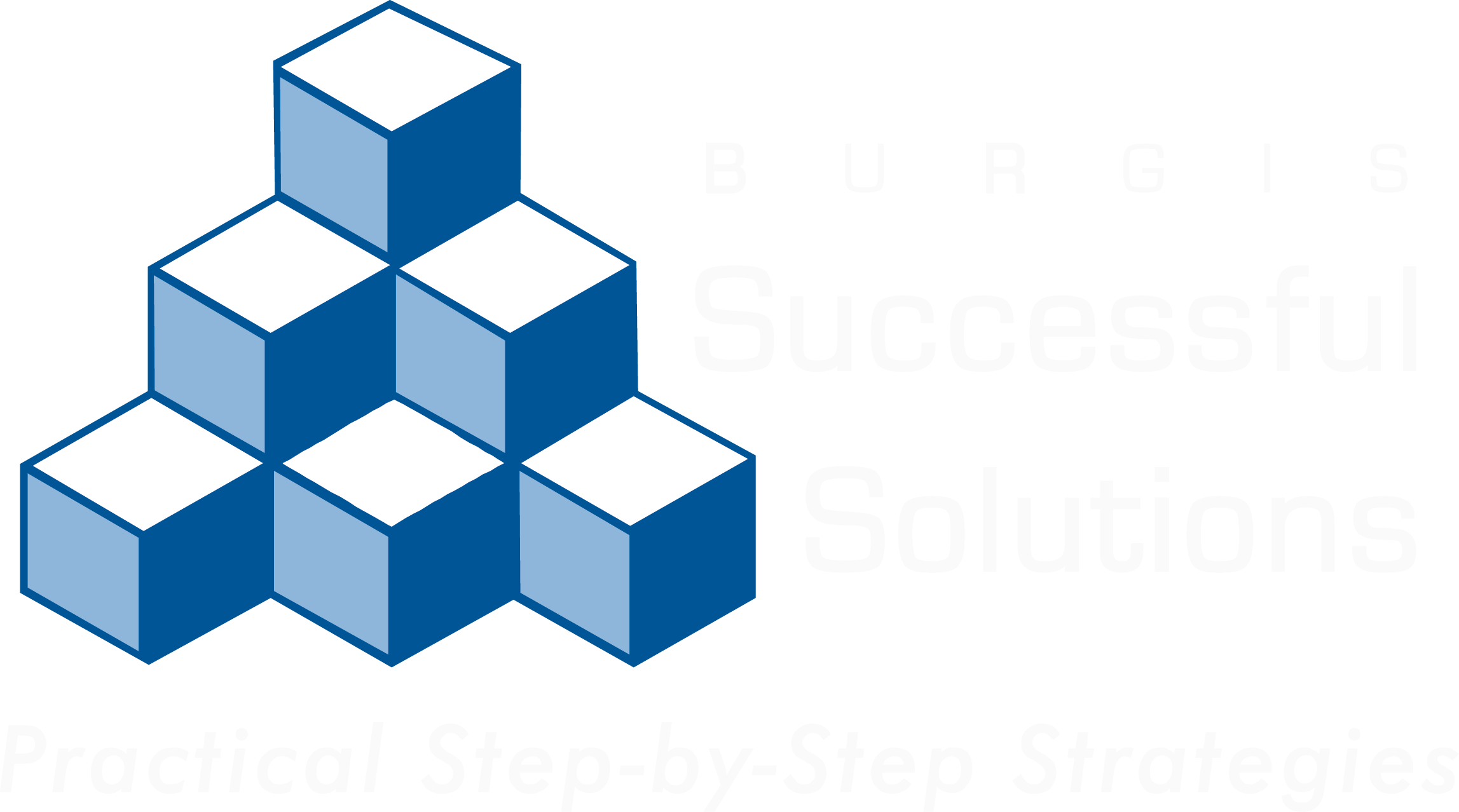 2295x1278 Take The Next Step Burgis Successful Solutions