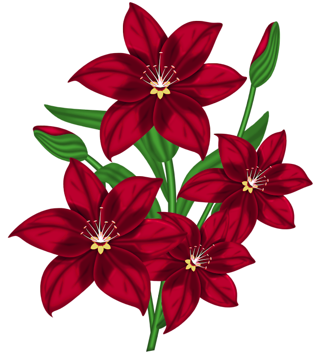 629x697 Nice Red Png Flower Clipartu200b Gallery Yopriceville
