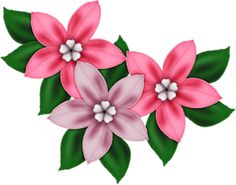 236x185 Flower Photos Clipart
