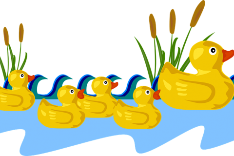 480x320 Nice Weather For Ducks