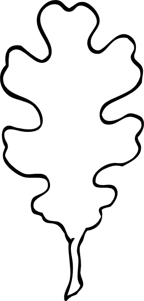 282x589 Oak Leaf Outline Clip Art Templates Tree Leaves