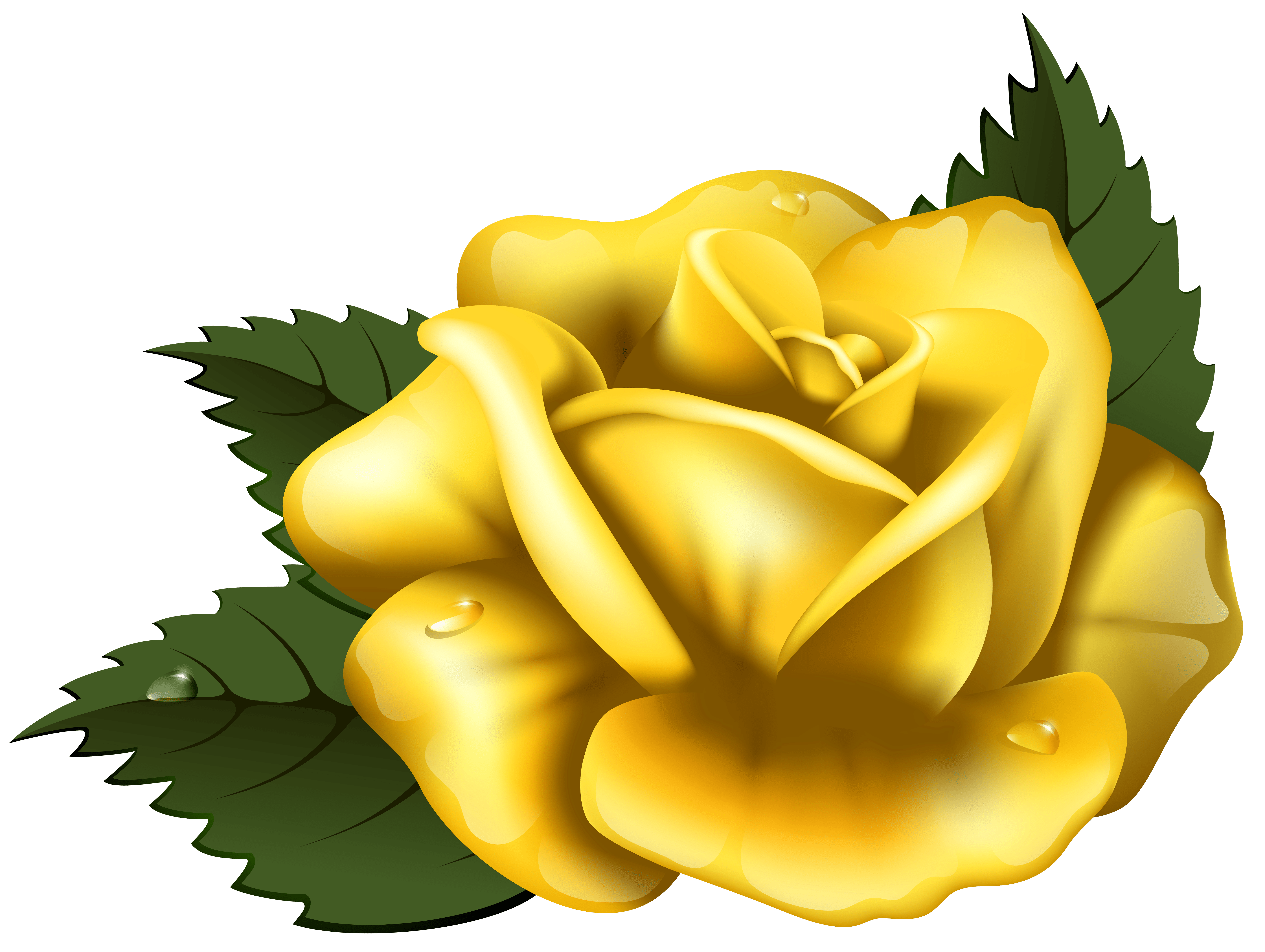7013x5280 Yellow Roses Pictures Clip Art Wallpaper Images