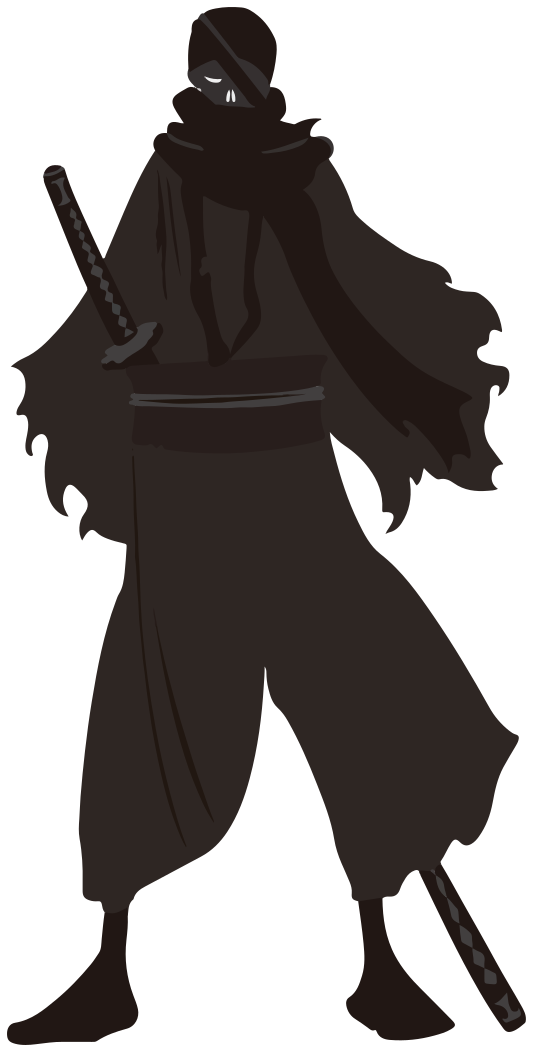 533x1052 Ninja 2
