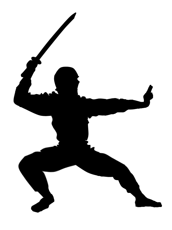 600x800 Ninja By Mspowell