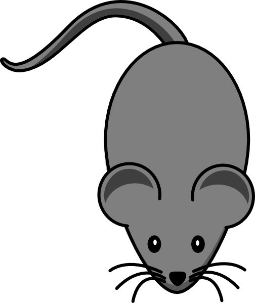 504x599 Mouse Clipart No Background