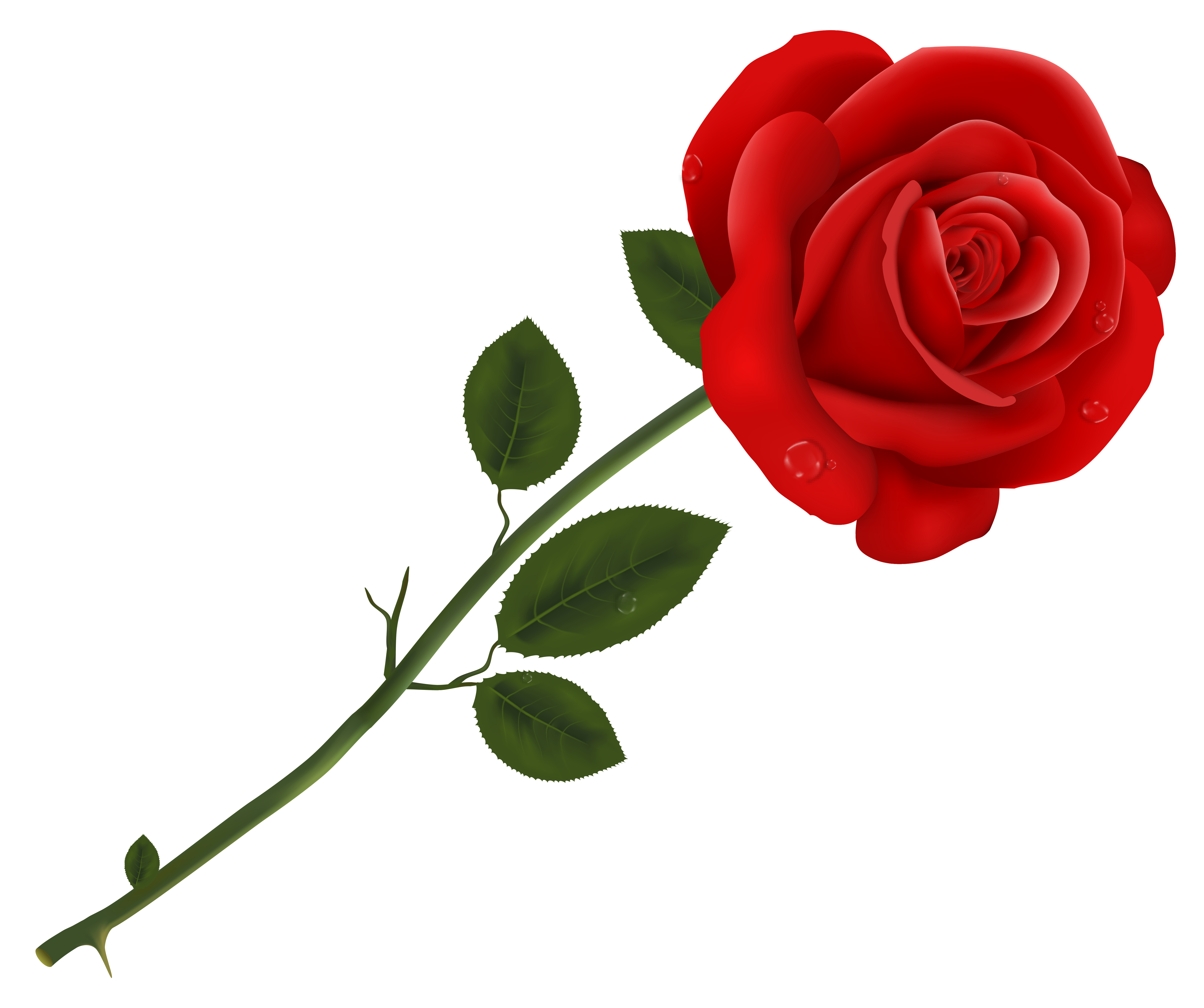 5270x4411 Red Rose Transparent Png Clipartu200b Gallery Yopriceville