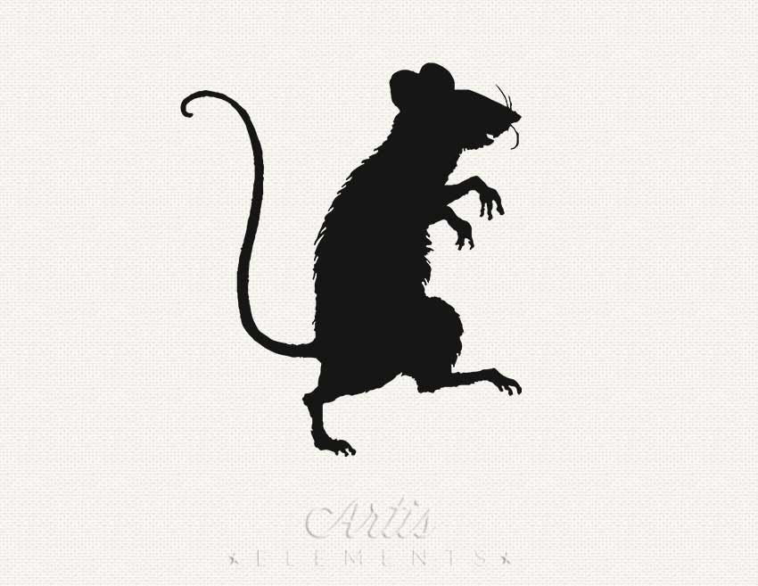 850x657 Mouse Clipart No Background