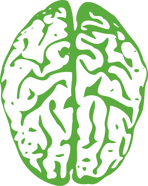 480x601 Brain Clipart No Background