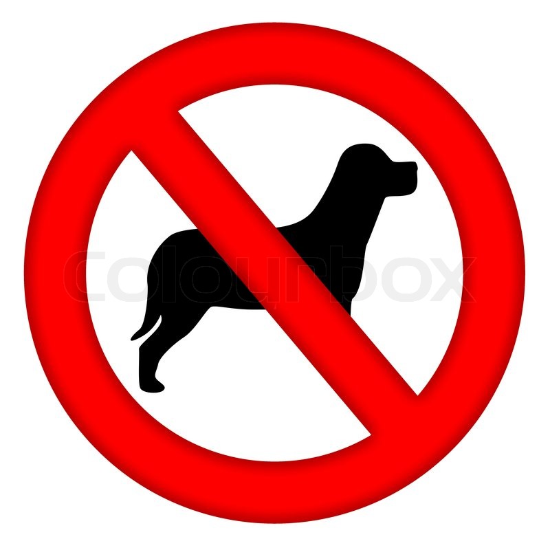 800x800 Dogs Not Allowed Sign Stock Photo Colourbox