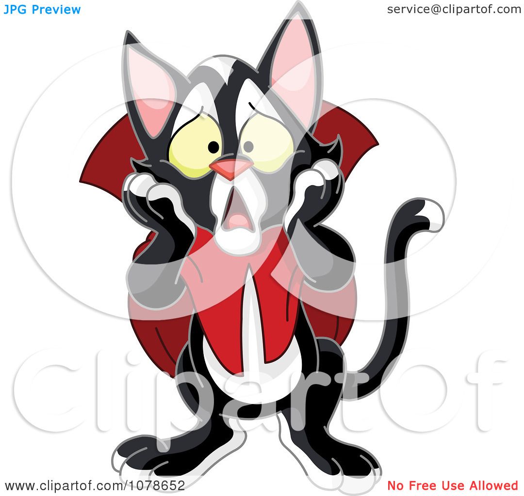 1080x1024 Dracula Clipart Halloween Black Cat