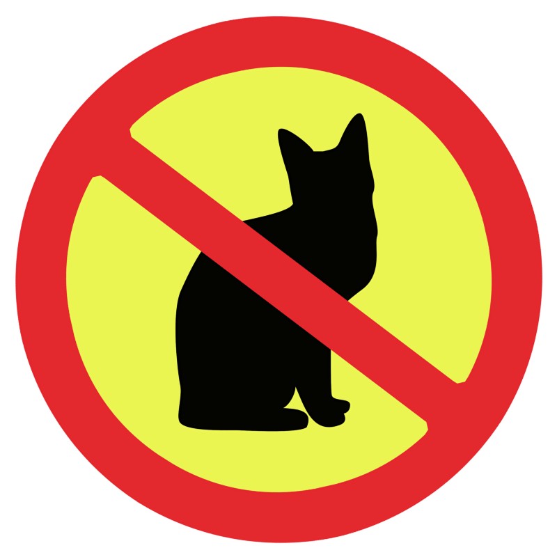 no cats allowed by miranda james
