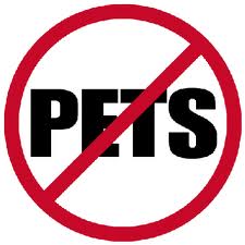 225x225 Clipart I Have No Pets