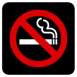 256x256 No Smoking Icon