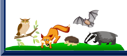 411x181 Nocturnal Animals Clipart