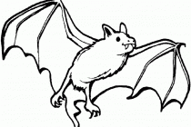 210x140 Pictures Of Nocturnal Animals Free Download Clip Art Free Clip