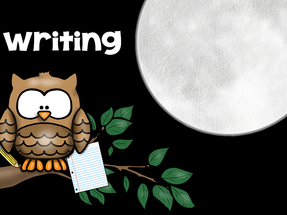 960x720 Primary Chalkboard Nocturnal Animals