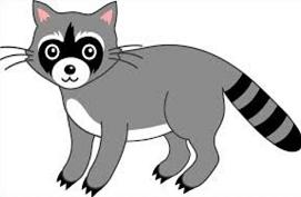 271x177 Raccoon Clipart Nocturnal Animal