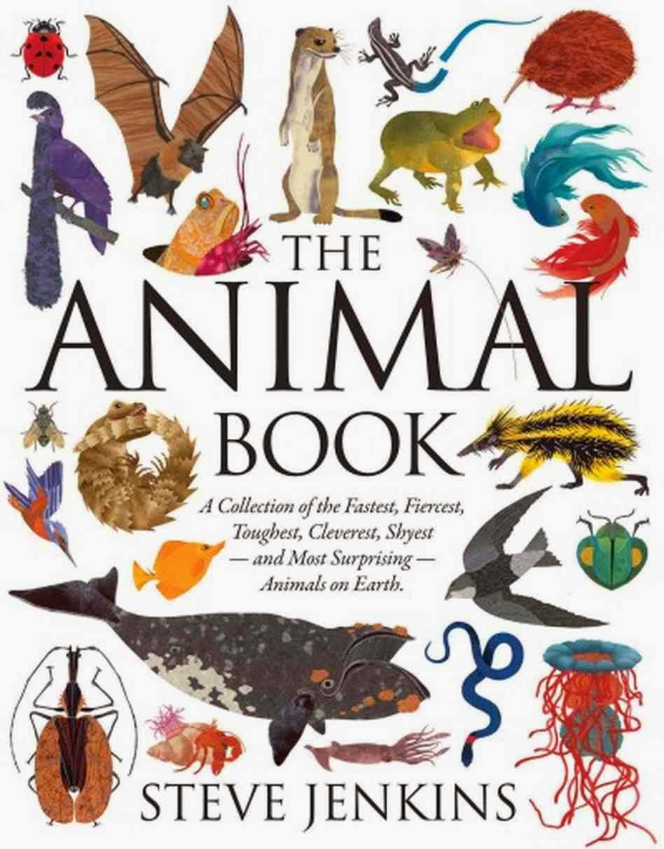 948x1213 Bobook Clipart Non Fiction