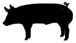 265x150 4 H Livestock Of Clipart