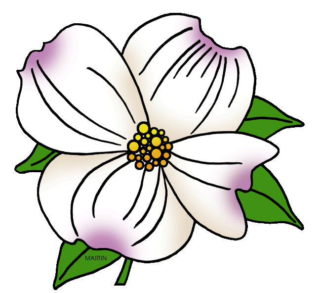 648x592 United States Clip Art By Phillip Martin, North Carolina State