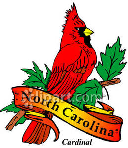 259x300 Bird Of North Carolina, The Red Cardinal Royalty Free Clipart Picture