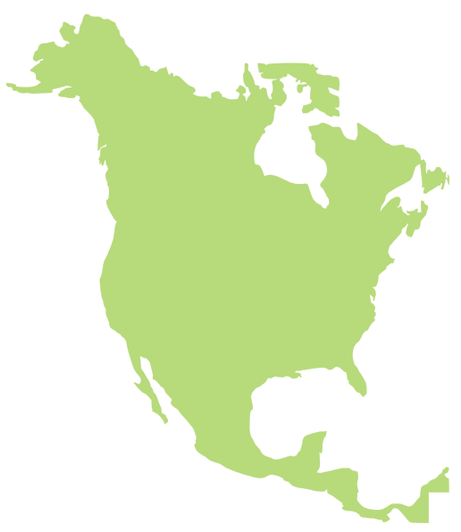 516x596 North America Clip Art