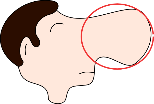 600x405 Nose 3 Clip Art