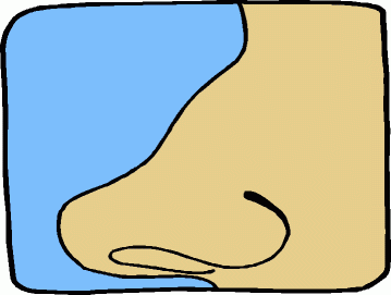 359x271 Best Nose Clipart