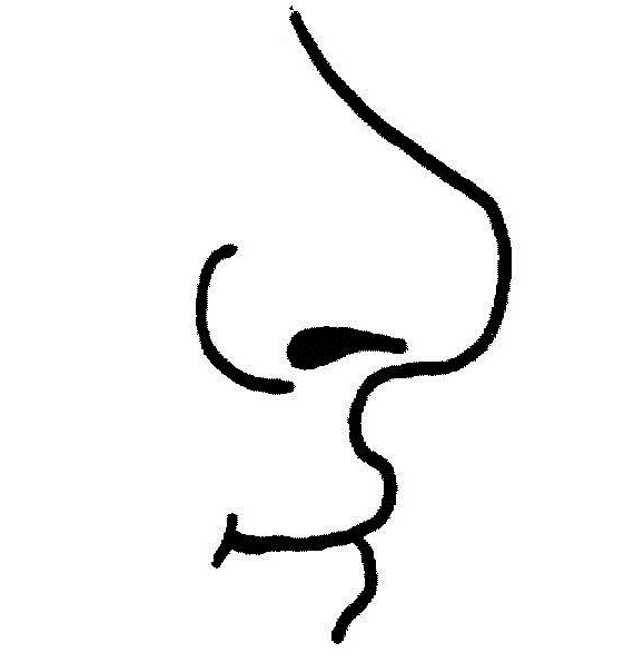 570x595 Nose Clip Art Black And White Free Clipart Images 2