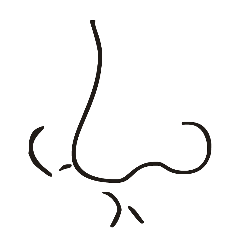 800x800 Nose Clip Art Free Clipart Images