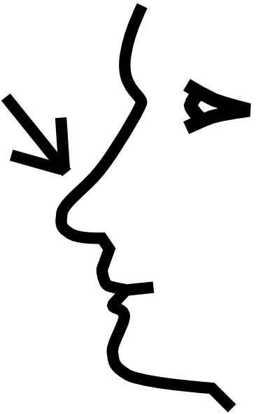 366x593 Nose Clipart
