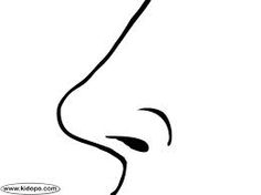 236x176 Clipart Black And White Nose