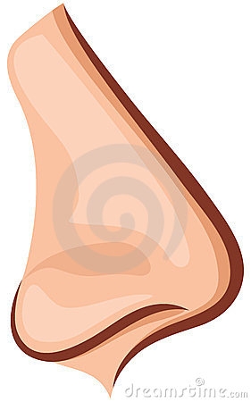 281x450 Clipart Of A Nose