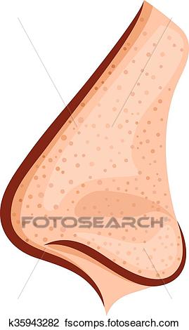 269x470 Clipart Of Blackheads On The Nose K35943282