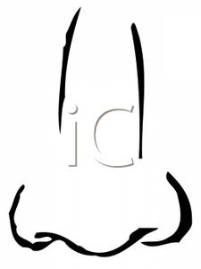 225x300 Free Clipart Image Black And White Nose
