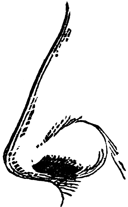 433x700 Nose Clip Art Black And White Free Clipart Images 3