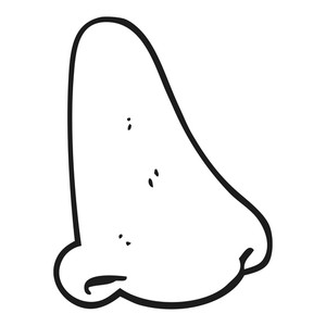 300x300 Freehand Drawn Black And White Cartoon Human Nose Royalty Free