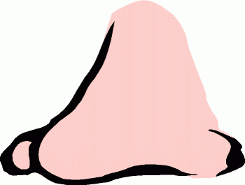 350x265 Nose Clipart Clipart Panda