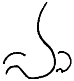 250x276 Nose Clip Art Pictures Free Clipart Images