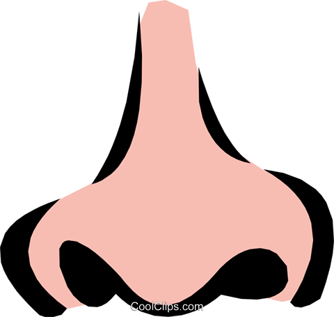 480x455 Nose Clipart Png