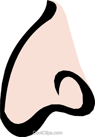333x480 Nose Royalty Free Vector Clip Art Illustration Cart1124