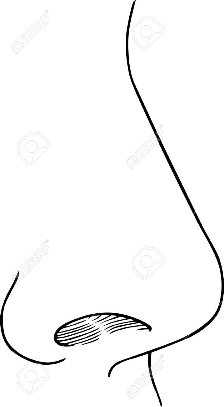 717x1300 Clipart Black And White Nose