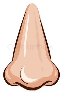 215x320 Cartoon Nose Set Stock Vector Colourbox