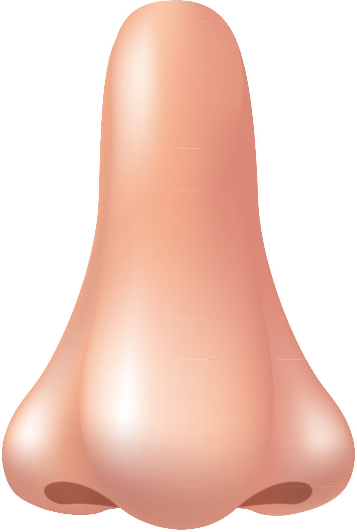 1191x1775 Png Human Nose Transparent Png Images.